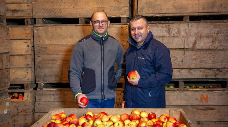 FruitSmart przechowywanie jabłek