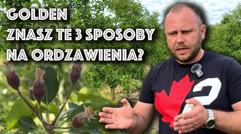 sposób na ordzawienia