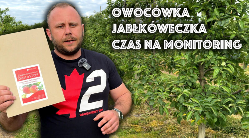 owocówka jabłkoweczka monitoring