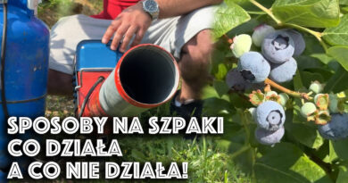 co dziala na szpaki