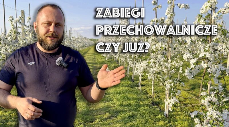 zabiegi przechowalnicze w pełni kwitnienia