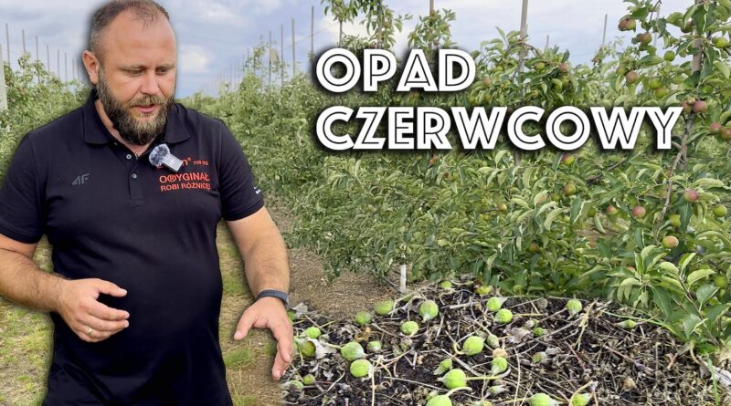 intensywny opad czerwcowy dlaczego