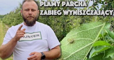 plamy parcha zwalczanie
